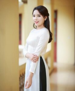 The Vietnam Ao Dai With Skirt