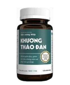 Khuong Thao Dan restaure le cartilage articulaire 2